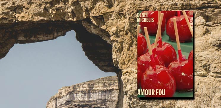 "Amour fou" de Denis Michelis : roman noir atypique et rythmé, teinté de comédie macabre