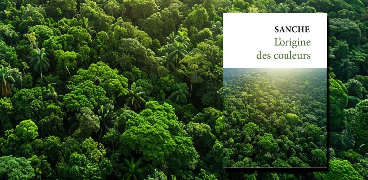 "L'origine des couleurs" de Sanche : un hymne à la forêt et la sauvegarde des peuples