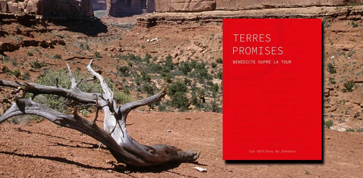 "Terres promises" de Bénédicte Dupré La Tour : une fresque éblouissante sur l'épopée du Far West