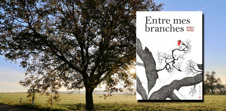 "Entre mes branches" de Nicolas Michel : un album jeunesse tout en finesse et teinté de poésie