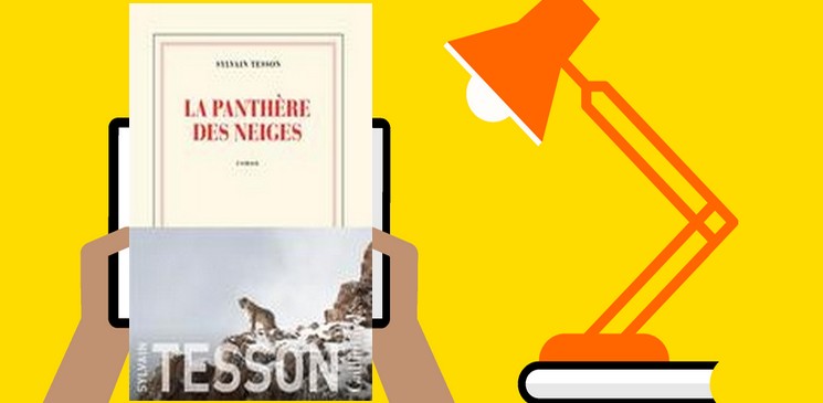 La panthère des neiges, une aventure singulière !