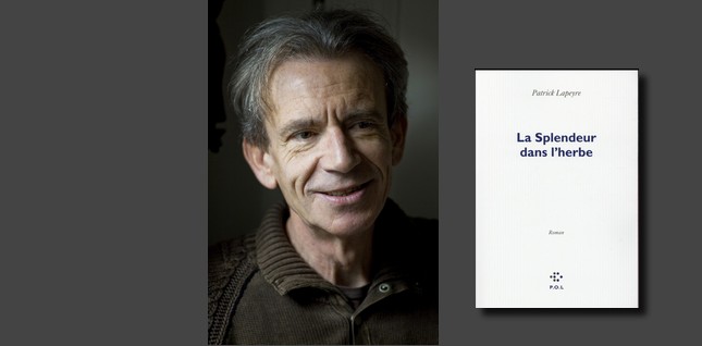 #Interview :  Patrick Lapeyre nous parle de son dernier roman "La Splendeur dans l’herbe"