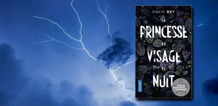 "La princesse au visage de nuit" de David Bry : un conte moderne pour adultes, entre polar, thriller et fantastique