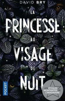 "La princesse au visage de nuit" de David Bry : un conte moderne pour adultes, entre polar, thriller et fantastique