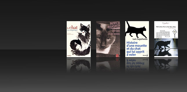 Des chats entre les pages : des livres et des matous