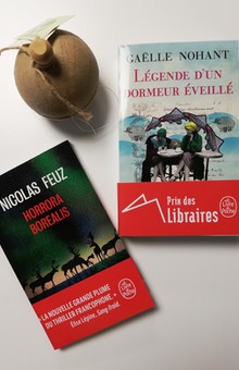 On aime, on vous fait gagner, "Légende d’un dormeur éveillé" de Gaelle Nohant, "Horrora Boréalis" de Nicolas Feuz !