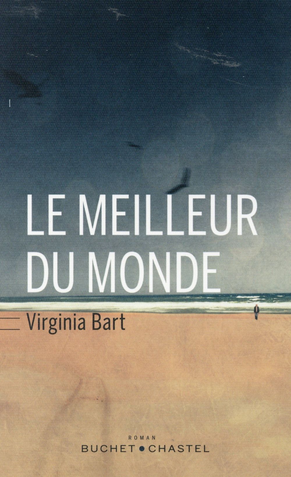 La chronique #11 du Club des Explorateurs : "Le meilleur du monde" de Virginia Bart