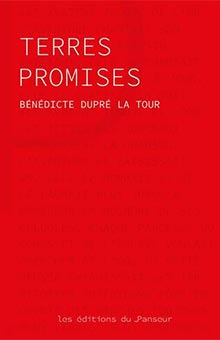 "Terres promises" de Bénédicte Dupré La Tour : une fresque éblouissante sur l'épopée du Far West