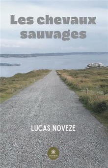 "Les chevaux sauvages", un étonnant premier roman signé Lucas Noveze
