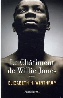 "Le Châtiment de Willie Jones" un roman qui ne vous laissera pas indifférent
