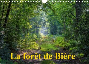 Couverture du livre « La forêt de Bière (Calendrier mural 2020 DIN A4 horizontal) ; Paysages de la forêt de Fontainebleau (Calendrier mensuel, 14 Pages ) » de Djamal Makhloufi aux éditions Calvendo