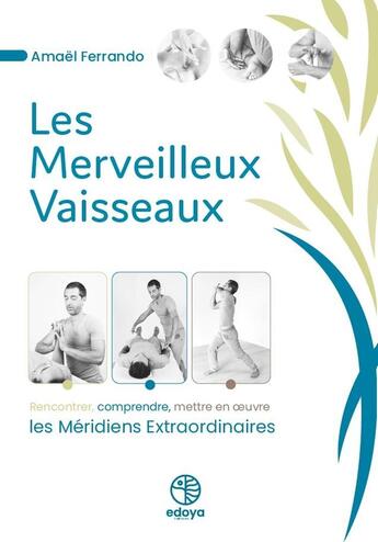 Couverture du livre « Les merveilleux vaisseaux : rencontrer, comprendre, mettre en oeuvre les meridiens extraordinaires » de Amael Ferrando aux éditions Edoya Editions