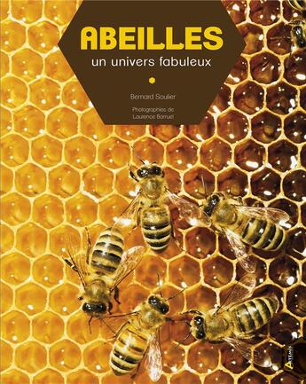 Couverture du livre « Abeilles ; un univers fabuleux » de Bernard Soulier aux éditions Artemis