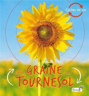 Couverture du livre « De la graine au tournesol » de Camilla De La Bedoyere aux éditions Grenouille