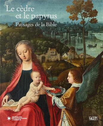 Couverture du livre « Le cèdre et le papyrus ; paysage de la Bible » de Geraldine Mocellin aux éditions Sagep Editori