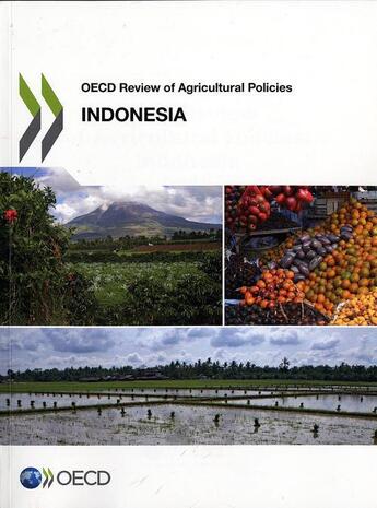 Couverture du livre « Indonesia ; OECD review of agricultural policies » de  aux éditions Ocde