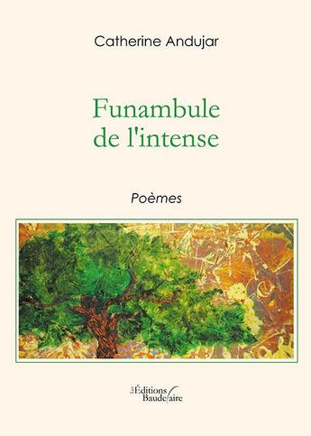 Couverture du livre « Funambule de l'intense » de Catherine Andujar aux éditions Baudelaire