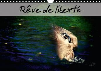 Couverture du livre « Reve de liberte calendrier mural 2018 din a4 horizontal - envolons nous vers nos reves a » de Mocanu C aux éditions Calvendo