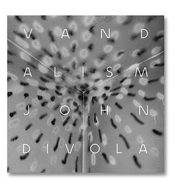 Couverture du livre « Vandalism » de Divola John aux éditions Michael Mack