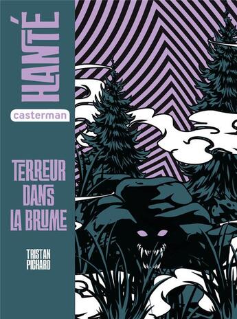 Couverture du livre « Terreur dans la brume » de Tristan Pichard aux éditions Casterman