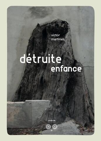 Couverture du livre « Detruite enfance » de Victor Martinez aux éditions Zoeme