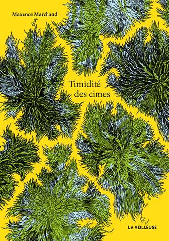 Couverture du livre « Timidité des cimes » de Maxence Marchand aux éditions La Veilleuse