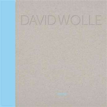 Couverture du livre « David Wolle » de Corinne Rondeau aux éditions Fabelio