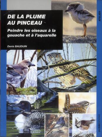 Couverture du livre « De la plume au pinceau ; peindre les oiseaux à la gouache et à l'aquarelle » de Denis Bauduin aux éditions Ulisse