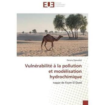 Couverture du livre « Vulnerabilite a la pollution et modelisation hydrochimique » de Zgourdah Zakaria aux éditions Editions Universitaires Europeennes