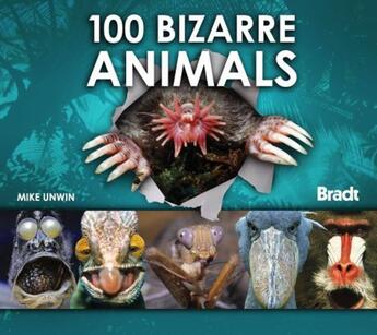 Couverture du livre « 100 bizarre animals » de Mike Unwin aux éditions Bradt