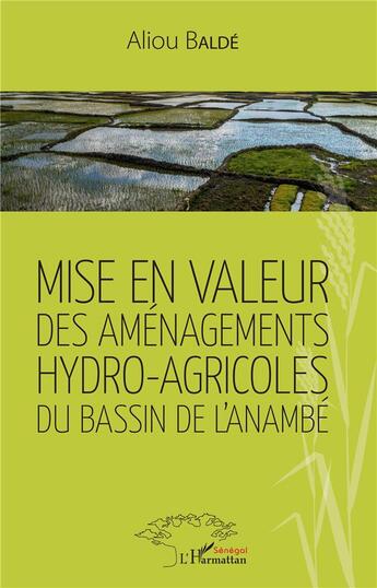 Couverture du livre « Mise en valeur des aménagements hydro-agricoles du bassin de l'Anambé » de Aliou Balde aux éditions L'harmattan