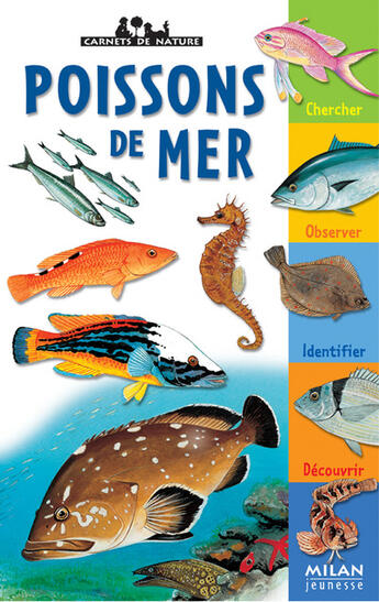 Couverture du livre « Poissons de mer » de Patrick Louisy aux éditions Milan