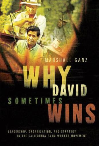 Couverture du livre « Why david sometimes wins: leadership, organization, and strategy in th » de Ganz Marshall aux éditions Editions Racine