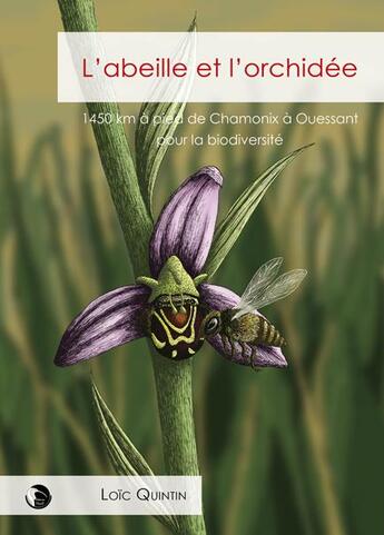 Couverture du livre « L'abeille et l'orchidée » de Loic Quintin aux éditions Editions Thot