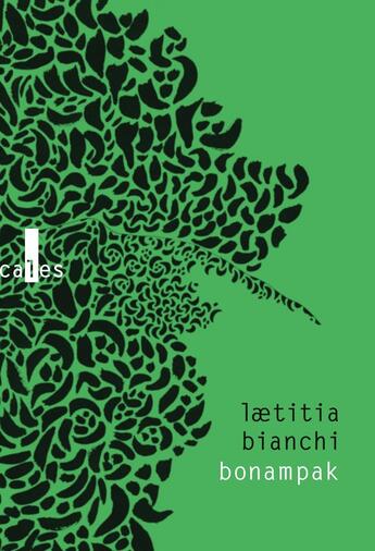 Couverture du livre « Bonampak » de Laetitia Bianchi aux éditions Verticales