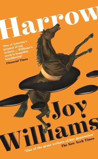 Couverture du livre « HARROW » de Joy Williams aux éditions Profile Books
