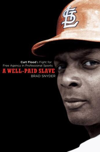 Couverture du livre « A Well-Paid Slave » de Snyder Brad aux éditions Penguin Group Us