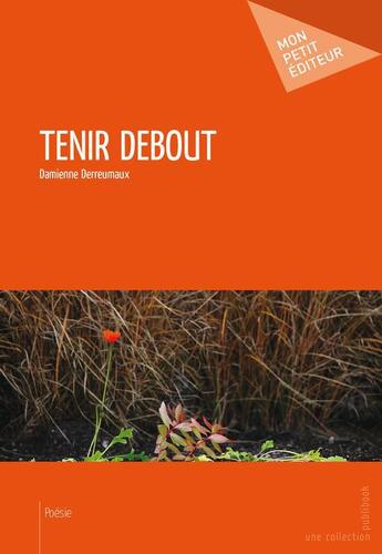 Couverture du livre « Tenir debout » de Damienne Derreumaux aux éditions Publibook