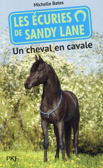 Couverture du livre « Les écuries de Sandy Lane t.7 ; un cheval en cavale » de Michelle Bates aux éditions Pocket Jeunesse