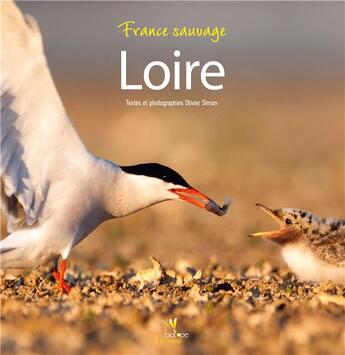 Couverture du livre « Loire » de Olivier Simon aux éditions Biotope