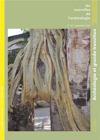 Couverture du livre « Les Les Nouvelles de l'archéologie, n° 161/septembre 2020 : Archéologie et grande transition » de Geoffroy De Saulieu aux éditions Maison Des Sciences De L'homme