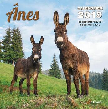 Couverture du livre « Anes (2019) » de  aux éditions Artemis