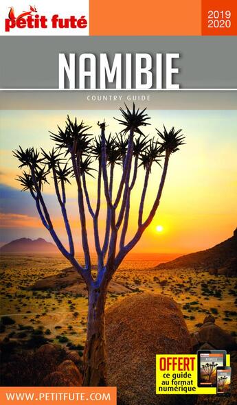 Couverture du livre « GUIDE PETIT FUTE ; COUNTRY GUIDE : Namibie (édition 2019/2020) » de Collectif Petit Fute aux éditions Le Petit Fute