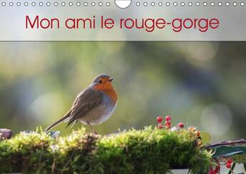 Couverture du livre « Une annee de la vie du rouge g » de Brosseau Matoss aux éditions Calvendo