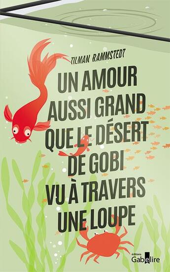 Couverture du livre « Un amour aussi grand que le désert de Gobi vu à travers une loupe » de Tilman Rammstedt aux éditions Gabelire