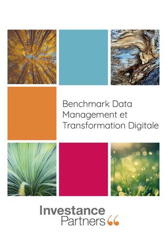 Couverture du livre « Benchmark Data ; management et transformation digitale » de Investance Partners aux éditions Publishroom Factory