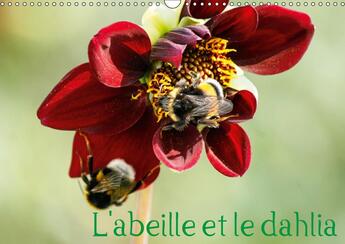 Couverture du livre « Le dahlia et l abeille en parf » de Illam Daniel aux éditions Calvendo