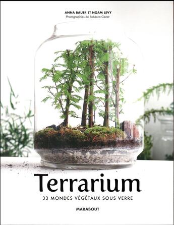 Couverture du livre « Le guide des terrarium ; tableaux végétaux, kokedama » de Noam Levy aux éditions Marabout