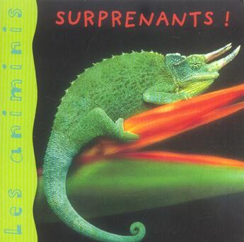 Couverture du livre « Surprenants ! » de De Lambilly E. aux éditions Mango