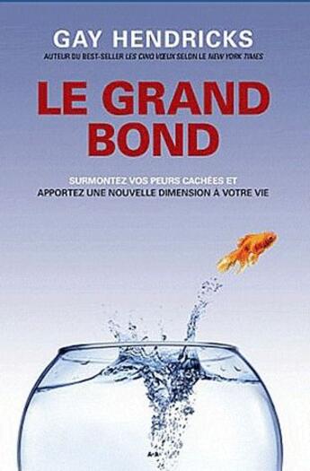 Couverture du livre « Le grand saut ; surmontez vos peurs cachées et apportez une nouvelle dimension à votre vie » de Gay Hendricks aux éditions Ada